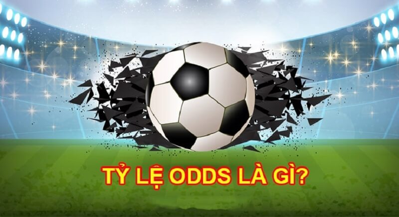 Odds là gì Giải thích đơn giản và dễ hiểu nhất